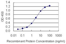Monoclonal Anti-PLA2G10 antibody produced in mouse clone 5G11, purified immunoglobulin