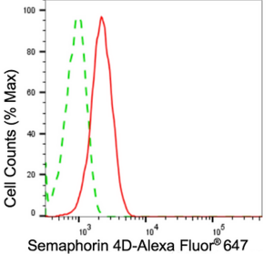 Anti Semaphorin 4D Antibody, clone 24GB1140, Rabbit Monoclonal clone 24GB1140, recombinant rabbit monoclonal, expressed in HEK293 cells