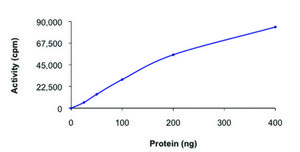 TTK, active, GST tagged human PRECISIO® Kinase, recombinant, expressed in baculovirus infected Sf9 cells, ≥70% (SDS-PAGE), buffered aqueous glycerol solution