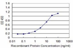 Monoclonal Anti-NEUROG1 antibody produced in mouse clone 1F10, purified immunoglobulin, buffered aqueous solution
