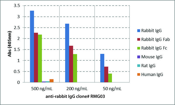 Anti-Rabbit IgG antibody, Goat monoclonal recombinant, expressed in HEK 293 cells, clone RMG03, purified immunoglobulin