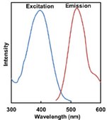BioTracker™ Mitophagy Detection Kit