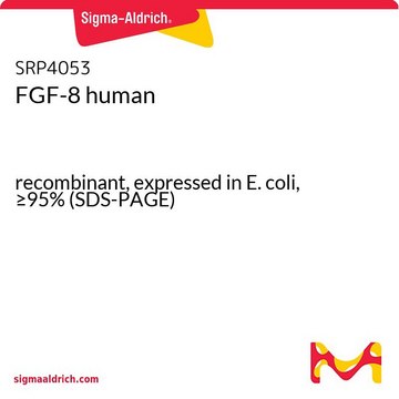 FGF-8 human recombinant, expressed in E. coli, &#8805;95% (SDS-PAGE)