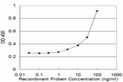 Monoclonal Anti-PCGF3, (C-terminal) antibody produced in mouse clone 1F1, purified immunoglobulin, buffered aqueous solution