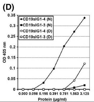 Anti-Human B cells (CD19) Antibody, clone FMC63 clone FMC63, Chemicon&#174;, from mouse