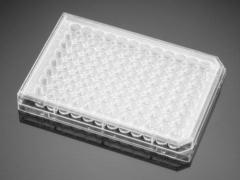 Corning&#174; BioCoat&#8482; Collagen I Multiwell Plate well size 48&#160;wells, flat bottom clear wells, lid