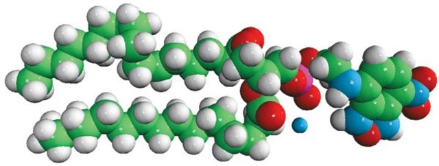 16:0 NBD PE Avanti Polar Lipids 810144C