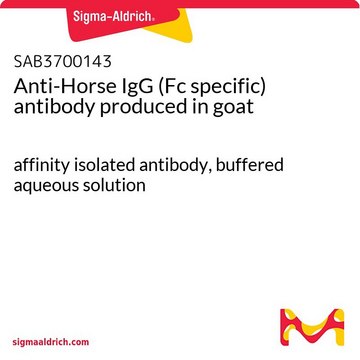 Anti-Horse IgG (Fc specific) antibody produced in goat affinity isolated antibody, buffered aqueous solution