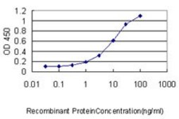 Monoclonal Anti-SLC44A2 antibody produced in mouse clone 3D11, purified immunoglobulin, buffered aqueous solution