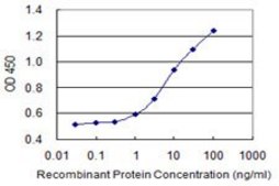 Monoclonal Anti-NDFIP2 antibody produced in mouse clone 2C7, purified immunoglobulin, buffered aqueous solution