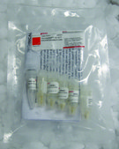 Thunderbolt™ GC10™ Electrocompetent Cells for generation of cDNA libraries and DNA plasmid production