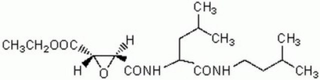 EST A cell-permeable, irreversible inhibitor of cysteine proteases.