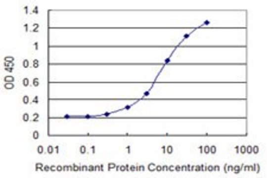 Monoclonal Anti-LITAF antibody produced in mouse clone 2E12, purified immunoglobulin, buffered aqueous solution