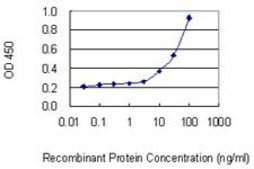 Monoclonal Anti-CEP55 antibody produced in mouse clone 6B1, purified immunoglobulin, buffered aqueous solution