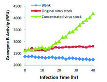 PEG Virus Precipitation Kit sufficient for 200 preparations