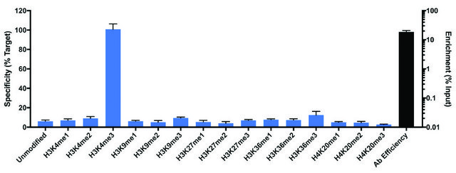 Anti-Trimethyl-Histone H3 (Lys4) antibody, Rabbit monoclonal recombinant, expressed in HEK 293 cells, clone RM340, purified immunoglobulin