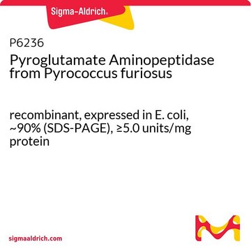 焦谷氨酸氨肽酶 来源于激烈热球菌 recombinant, expressed in E. coli, ~90% (SDS-PAGE), &#8805;5.0&#160;units/mg protein