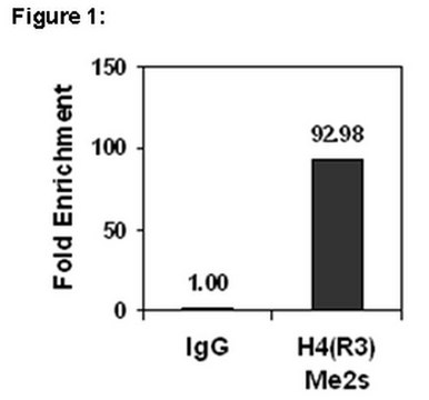 ChIPAb+ Dimethyl-Histone H4 (Arg3) Symmetric - ChIP Validated Antibody and Primer Set from rabbit, purified by affinity chromatography