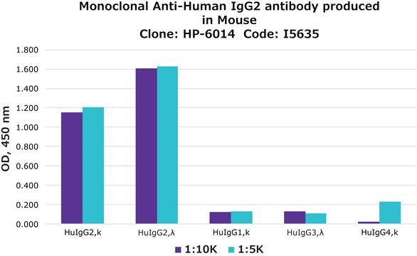 Monoclonal Anti-Human IgG2 antibody produced in mouse clone HP-6014, ascites fluid