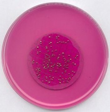 m-Endo Agar LES suitable for microbiology, NutriSelect&#174; Plus