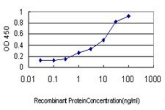 Monoclonal Anti-NCF4 antibody produced in mouse clone 3C10, purified immunoglobulin, buffered aqueous solution