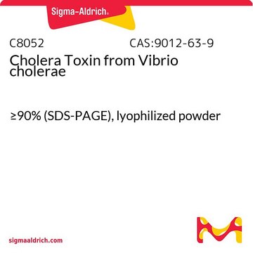 Cholera Toxin from Vibrio cholerae &#8805;90% (SDS-PAGE), lyophilized powder