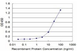 Monoclonal Anti-ACE antibody produced in mouse clone 4B10, purified immunoglobulin, buffered aqueous solution