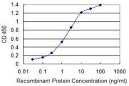 Monoclonal Anti-TBL1XR1 antibody produced in mouse clone 4E2, purified immunoglobulin, buffered aqueous solution