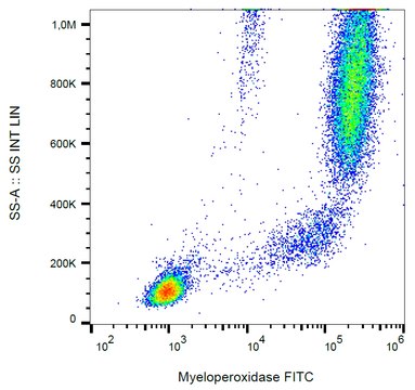 Monoclonal Anti-Myeloperoxidase FITC produced in mouse