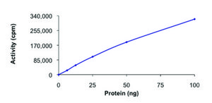TBK1, active, GST tagged human PRECISIO&#174; Kinase, recombinant, expressed in baculovirus infected Sf9 cells, &#8805;70% (SDS-PAGE), buffered aqueous glycerol solution