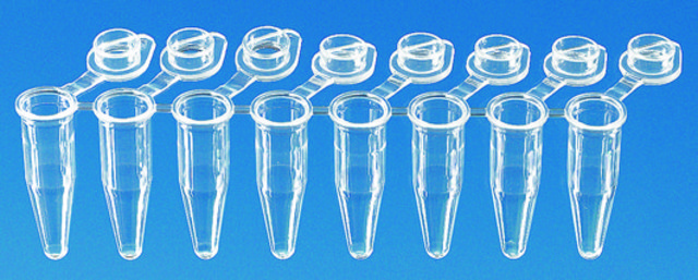 BRAND&#174; PCR tubes, strips of 8 attached single caps, standard profile, capacity 0.2&#160;mL