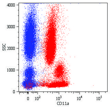 Monoclonal Anti-CD11a-PE antibody produced in mouse clone MEM-25, purified immunoglobulin, buffered aqueous solution