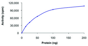 CK1 α 1, active, GST tagged human PRECISIO® Kinase, recombinant, expressed in baculovirus infected Sf9 cells, ≥70% (SDS-PAGE), buffered aqueous glycerol solution