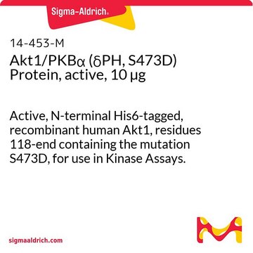 Akt1/PKB&#945; (&#948;PH, S473D) Protein, active, 10 &#181;g Active, N-terminal His6-tagged, recombinant human Akt1, residues 118-end containing the mutation S473D, for use in Kinase Assays.