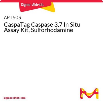 CaspaTag Caspase 3,7 In Situ Assay Kit, Sulforhodamine