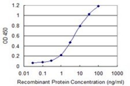 Monoclonal Anti-SRP54, (N-terminal) antibody produced in mouse clone 2G7, purified immunoglobulin, buffered aqueous solution