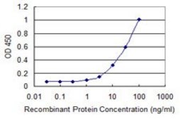 Monoclonal Anti-LCMT1 antibody produced in mouse clone 3D3, purified immunoglobulin, buffered aqueous solution