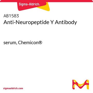 Anti-Neuropeptide Y Antibody serum, Chemicon&#174;