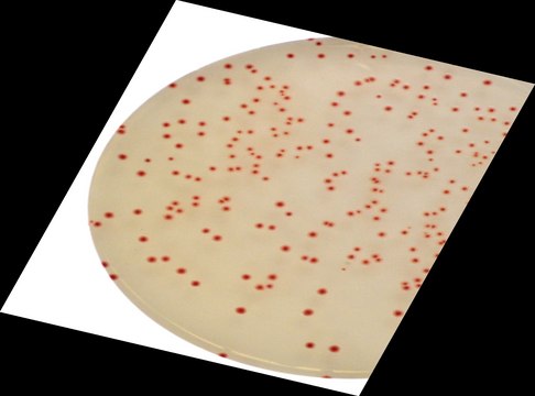 Campylobacter Culture Medium MilliChrome&#8482;, dry powder, final pH 7.3±0.2 (25&#160;°C), suitable for microbiology