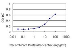 Monoclonal Anti-CKS1B antibody produced in mouse clone 3G8, purified immunoglobulin, buffered aqueous solution