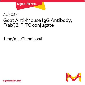 Goat Anti-Mouse IgG Antibody, F(ab&#8242;)2, FITC conjugate 1&#160;mg/mL, Chemicon&#174;