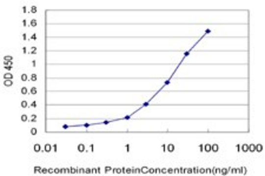 Monoclonal Anti-KITLG antibody produced in mouse clone 3E10, purified immunoglobulin, buffered aqueous solution