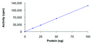 CK2 α 2, active, GST tagged human PRECISIO® Kinase, recombinant, expressed in baculovirus infected Sf9 cells, ≥70% (SDS-PAGE), buffered aqueous glycerol solution