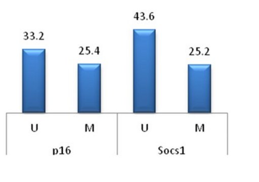 CpGenome Rat Methylated and Unmethylated Genomic DNA Standard Set Useful as a control or standard for variety of epigenomic assays such as methylated or unmethylated DNA enrichment, bisulfite conversion or melt curve analysis to determine the status of global or locus- specific DNA methylation.