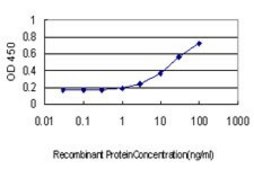 Monoclonal Anti-CXCL5 antibody produced in mouse clone M1, purified immunoglobulin, buffered aqueous solution
