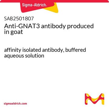 Anti-GNAT3 antibody produced in goat affinity isolated antibody, buffered aqueous solution