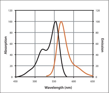 Anti-Mouse IgG (H+L), highly cross-adsorbed, CF&#8482; 555 antibody produced in donkey ~2&#160;mg/mL, affinity isolated antibody