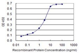 Monoclonal Anti-IL1B antibody produced in mouse clone 2E8, purified immunoglobulin, buffered aqueous solution