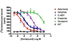 PrecisION® hERG ion channel membrane preparation Human ERG ion channel membrane preparation for Radioligand binding Assays.