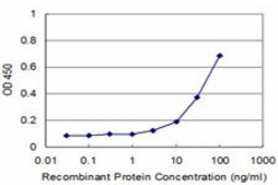 Monoclonal Anti-MLLT3 antibody produced in mouse clone 3C11, purified immunoglobulin, buffered aqueous solution